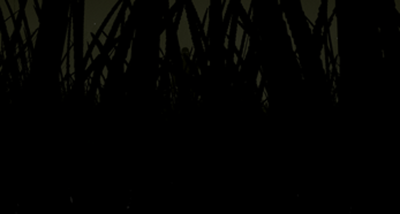 AGORA : a short horror experience screenshot