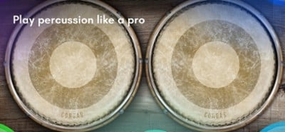 CONGAS &amp; BONGOS Percussion Kit Image