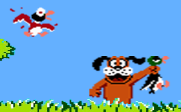 Duck Hunt Image