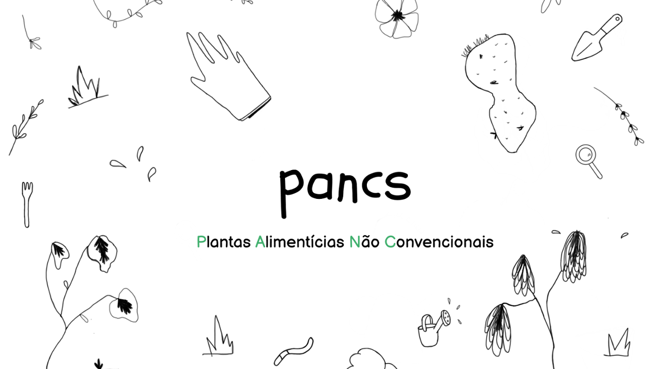 Games like PANCS