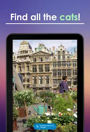 Find a Cat screenshot