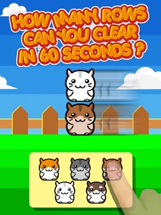 Hamster Land - Cute Pets Hamsters Column Matches Up Games Image