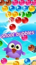 Shooter Bubble Rescue Pet Bird Image