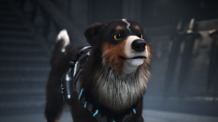 Barkour screenshot