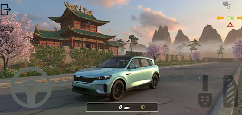 China Car Driving 3D screenshot