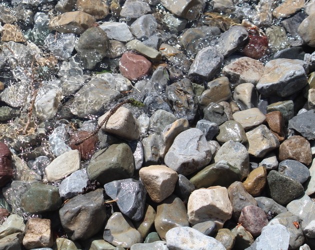 Games like The House of Dr. Forino