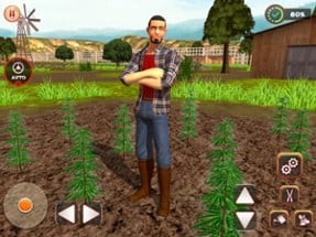 Weed Farming Game 2018 Image