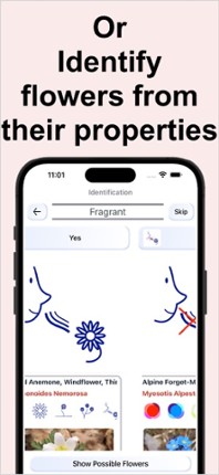 Flower Identification & Garden Image