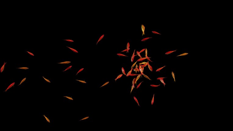 Goldfish Simulator Image