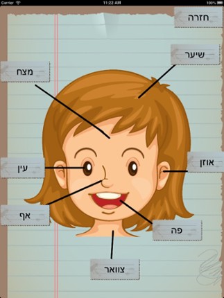 My Body english spanish hebrew screenshot