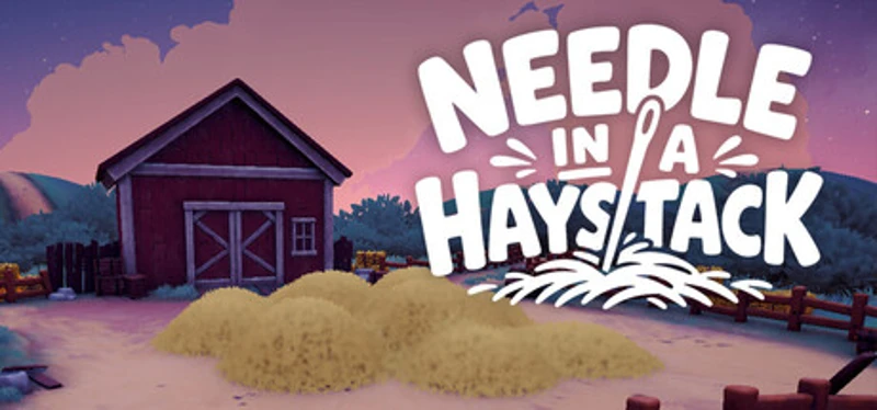 Needle in a Haystack Image