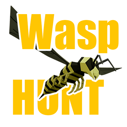 Games like Wasp Hunt VR