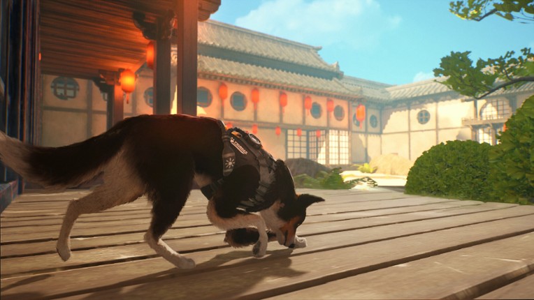 Barkour screenshot