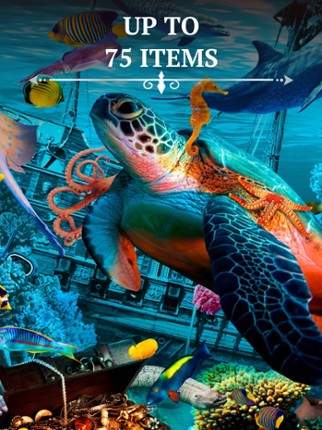 Bright Objects・Search and find Image