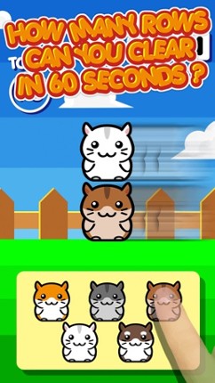 Hamster Land - Cute Pets Hamsters Column Matches Up Games Image