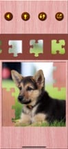 Cute Puppy Jigsaw Puzzle Games Image