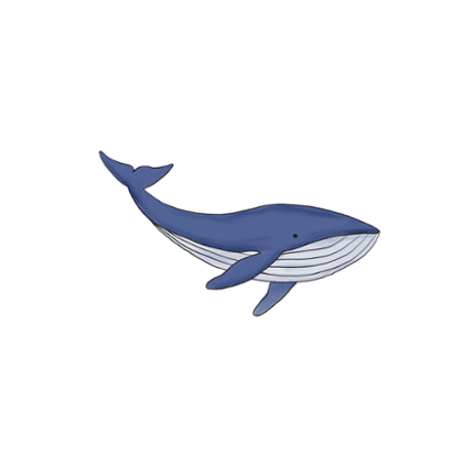 FlappyWhale Image