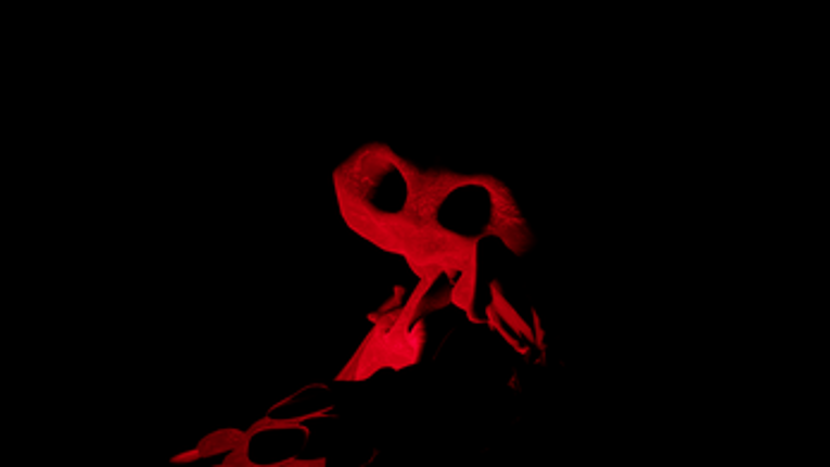 The Home Beta Image