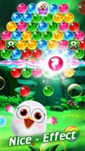 Shooter Bubble Rescue Pet Bird Image