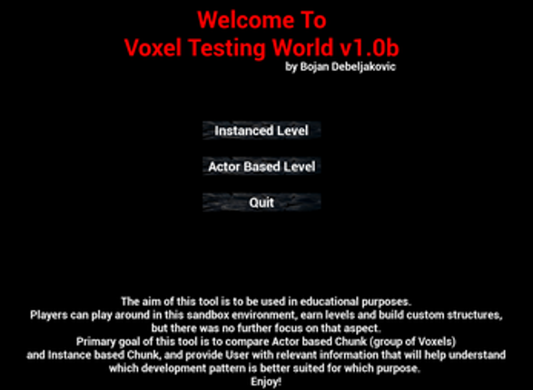 Voxel Testing World Image