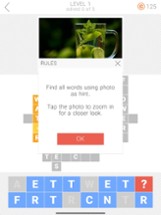 Words Connected 2: Crosswords Image