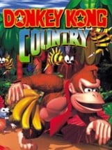 Donkey Kong Country Image