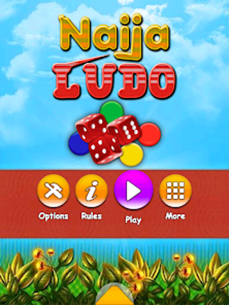 Naija Ludo Image