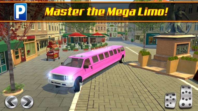 Limo Driving School a Valet Driver License Test Parking Simulator screenshot