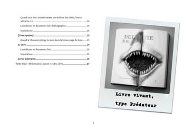 Bibliomancie, saison 1 - Ultra Libra - Un Mythe pour la route screenshot