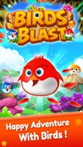 Bird Blast Mania Image