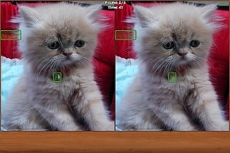 Cats Spot the Difference Image