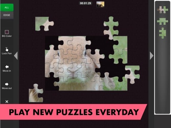 Fantastic Jigsaws screenshot