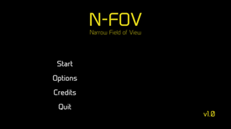 N-FOV Image