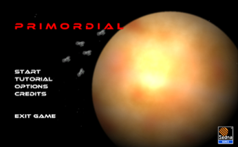 Primordial Image