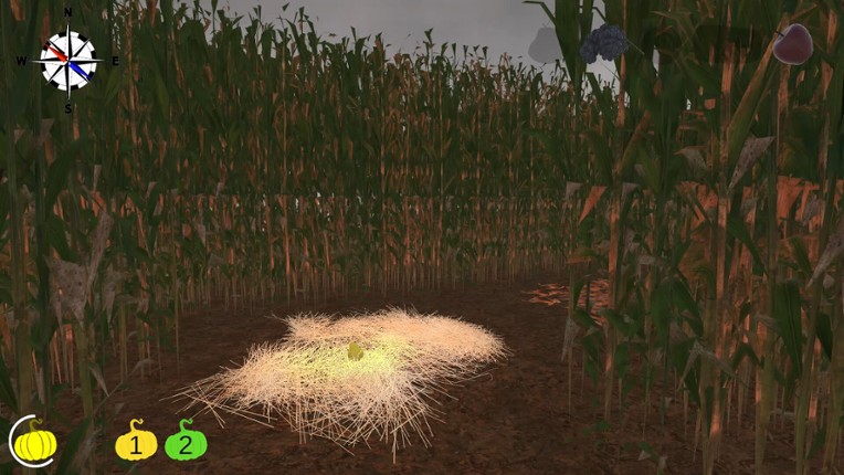 MAiZE screenshot