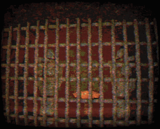 TESTIMONIUM screenshot