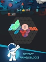 Trigon : Triangle Block Puzzle Image