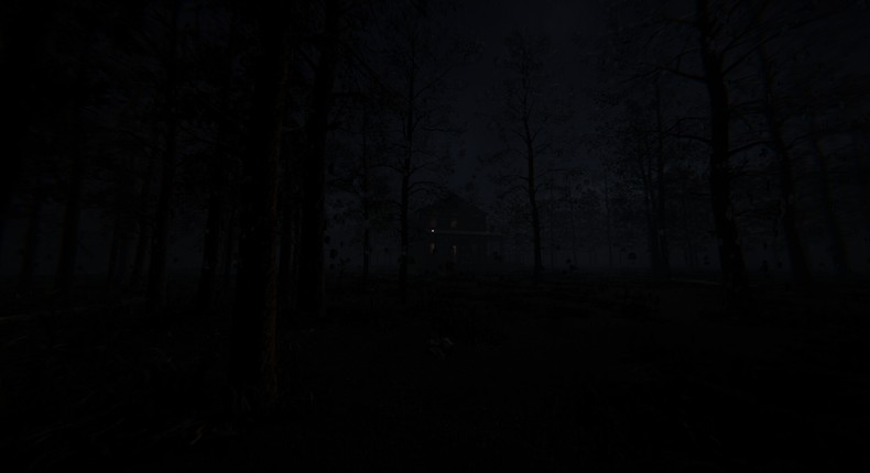 Ward Zero Image