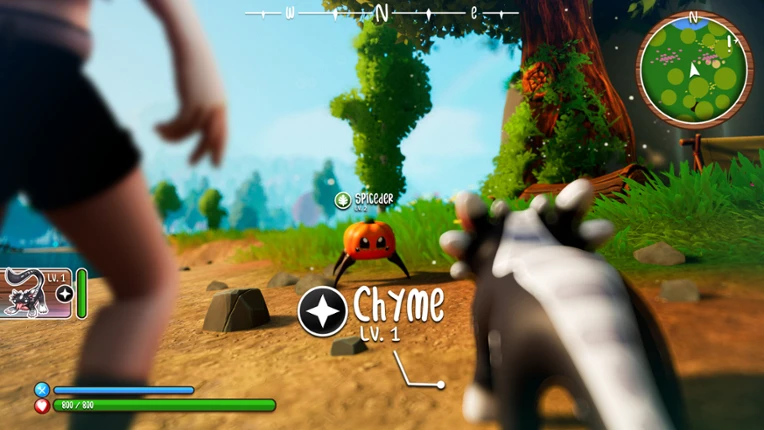 Axima Image