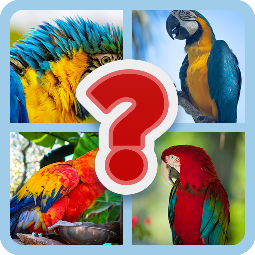 Games like Mind Challenge: Epic English Quiz