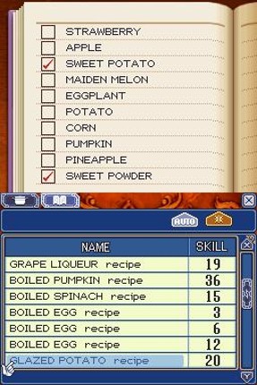 Rune Factory 2: A Fantasy Harvest Moon screenshot