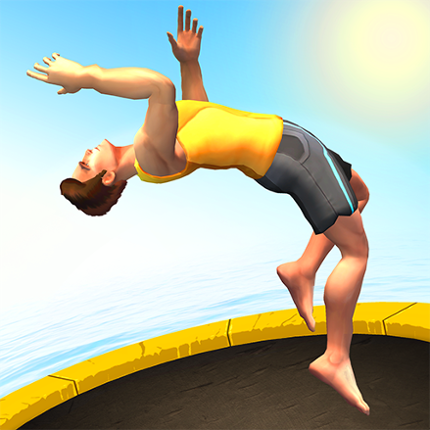 Flip Master Image