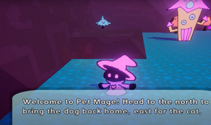 Pet Mage Image