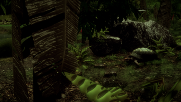 The Red-Footed Tortoise screenshot