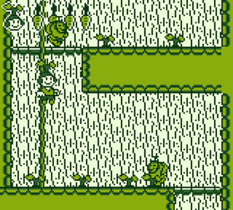 Seed Boy screenshot