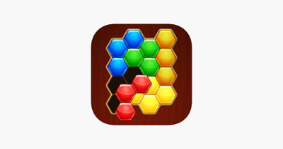 Hexa Blocks! Puzzle Image