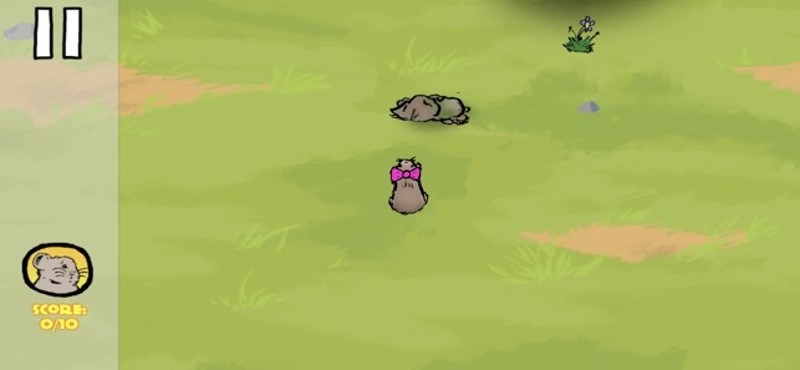 Life of Pika screenshot