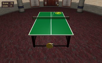 Table Tennis Pro Image