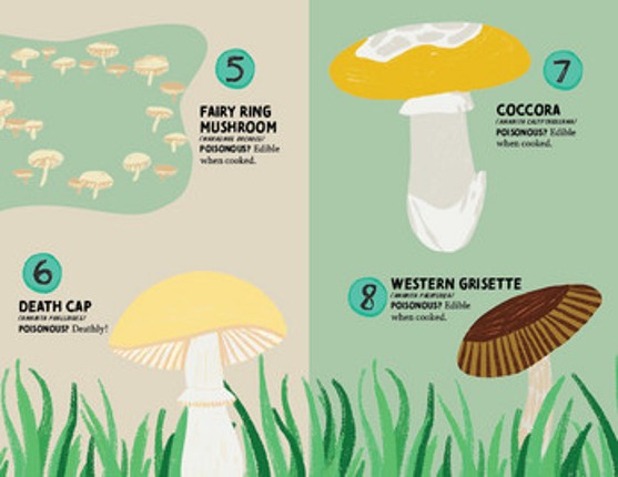 The Fruiting Bodies screenshot