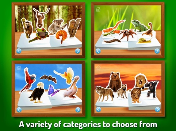 Zoo Animals ~ Touch, Look, Listen screenshot